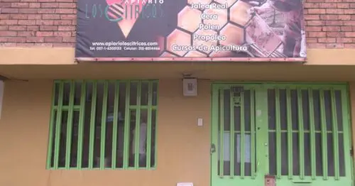 APIARIO LOS CITRICOS LA ESPERANZA SUR APIARIO LOS CITRICOS LA ESPERANZA SUR